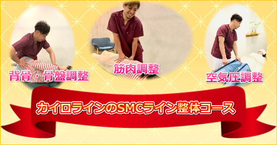 3つの観点のSMCライン整体コース
